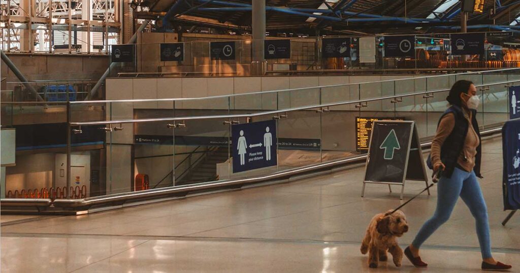 versüßen die hunde die wartezeit im flughafen